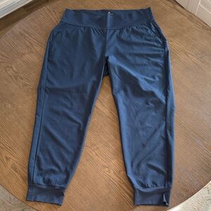 adidas Women's Blue Joggers